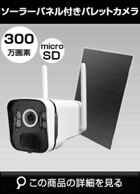 300万画素ワイヤレスカメラ