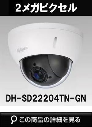 Dahua（ダーファ）防犯カメラ DH-SD22204TN-GN（2メガピクセル フルHD