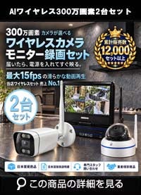  防犯カメラ 屋外 録画機能付き 防水 カメラ2台セット　ワイヤレス 300万画素 　10インチ液晶モニター付き バレット・ドーム・カメラが選べる　工事不要　防犯カメラセット　ALWSET-YG300-002