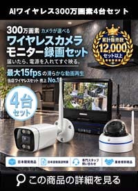 防犯カメラ 屋外 録画機能付き 防水 カメラ1台セット　ワイヤレス 300万画素 　10インチ液晶モニター付き バレット・ドーム・カメラが選べる　工事不要　防犯カメラセットALWSET-YG300-004