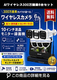 AI機能付き 300万画素ワイヤレスカメラセット ALWSET-YG300-006
