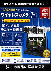AI機能付き 300万画素ワイヤレスカメラセット ALWSET-YG300-007