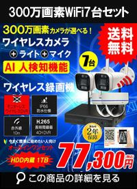 ワイヤレス300万画素 モニターレスセット ALWSET-KG300KD2-007