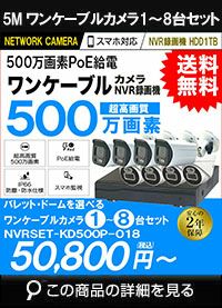 カメラ アルタクラッセ（Alta Classe）POEワンケーブルカメラセット 屋外対応500万画素 1台～8台 センサーライト機能 NVRSET-KD500P-018