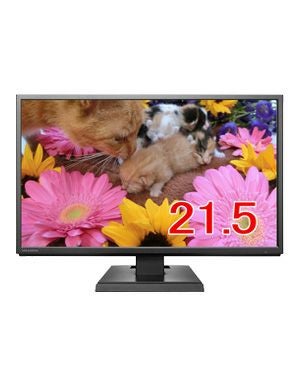 LCD-AH221EDB-B 21.5型液晶モニター | 防犯カメラ・監視カメラ専門通販