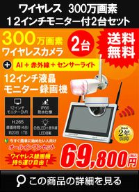 AI機能付き 300万画素ワイヤレスカメラセット ALWSET-KD300-002