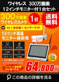 AI機能付き 300万画素ワイヤレスカメラセット ALWSET-KD300-001