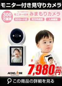 見守りカメラ 大画面モニター付き ペットカメラ ベビーカメラ 監視