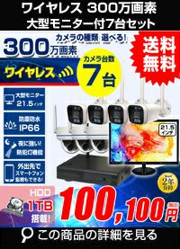 AI機能付き 300万画素ワイヤレスカメラセット 21.5インチモニター付き ALWSET-KG300MNT-007