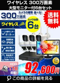 防犯カメラ 屋外 21.5インチ モニター付き 録画機 レコーダー付き 防水
