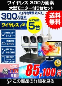 AI機能付き 300万画素ワイヤレスカメラセット 21.5インチモニター付き ALWSET-KG300MNT-005