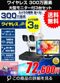 AI機能付き 300万画素ワイヤレスカメラセット 21.5インチモニター付き ALWSET-KG300MNT-003