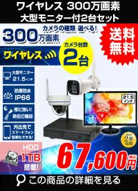 AI機能付き 300万画素ワイヤレスカメラセット 21.5インチモニター付き ALWSET-KG300MNT-002