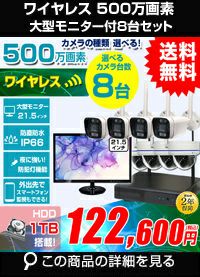 AI機能付き 500万画素ワイヤレスカメラセット 21.5インチモニター付き ALWSET-KG500MNT-008