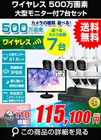 AI機能付き 500万画素ワイヤレスカメラセット 21.5インチモニター付き ALWSET-KG500MNT-007