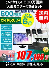 AI機能付き 500万画素ワイヤレスカメラセット 21.5インチモニター付き ALWSET-KG500MNT-006