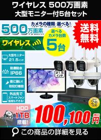AI機能付き 500万画素ワイヤレスカメラセット 21.5インチモニター付き ALWSET-KG500MNT-005