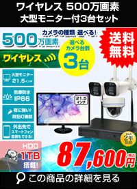 AI機能付き 500万画素ワイヤレスカメラセット 21.5インチモニター付き ALWSET-KG500MNT-003