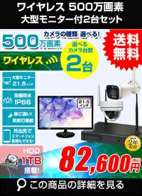 AI機能付き 500万画素ワイヤレスカメラセット 21.5インチモニター付き ALWSET-KG500MNT-002