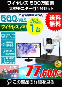 AI機能付き 500万画素ワイヤレスカメラセット 21.5インチモニター付き ALWSET-KG500MNT-001