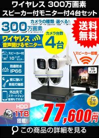 モニター付300万画素ワイヤレスセット ALWSET-KG300MNT10-004