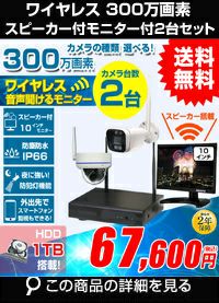 モニター付300万画素ワイヤレスセット ALWSET-KG300MNT10-002