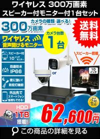 防犯カメラ 屋外 音声聞こえる！スピーカー内蔵10インチ モニター付き 録画機 レコーダー付き 防水 カメラ選べる 1台セット ワイヤレス 300万画素 ディスプレイ バレット・ドーム・カメラが選べる マイク付き カメラ音声 パソコン遠隔監視対応 工事不要 防犯カメラセット AI人体検知 ALWSET-KG300MNT10-001
