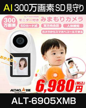 見守りカメラ 大画面モニター付き ペットカメラ ベビーカメラ 監視