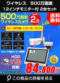 防犯カメラ カメラ2台セット 屋外 録画機能付き AI人体検知 人感