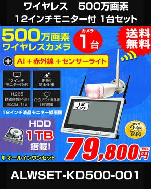 防犯カメラ カメラ1台セット 屋外 録画機能付き AI人体検知 人感