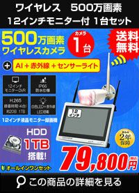 防犯カメラ カメラ1台セット 屋外 録画機能付き AI人体検知 人感