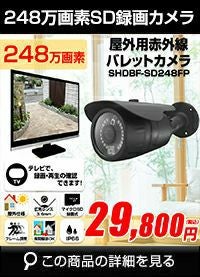 防犯カメラ SDカード録画式 工事不要 屋外 録画機能付き ビデオ入力