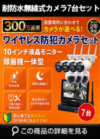 AI機能付き 300万画素ワイヤレスカメラセット ALWSET-YGD300-007