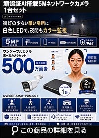 【最新AI　顔検索　車検知　人体検知搭載】500万画素ネットワークカメラセット！