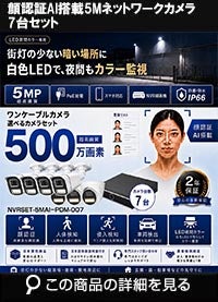 【最新AI　顔検索　車検知　人体検知搭載】500万画素ネットワークカメラセット！