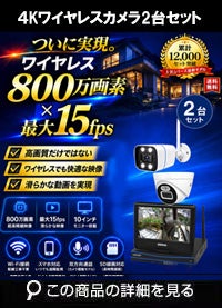 AI機能 800万画素ワイヤレスカメラセット ALWSET-YG800-002
