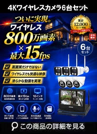 AI機能付き 800万画素ワイヤレスカメラセット ALWSET-YG800-006
