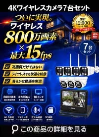 AI機能付き 800万画素ワイヤレスカメラセット ALWSET-YG800-007