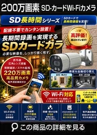 SDカード録画カメラ